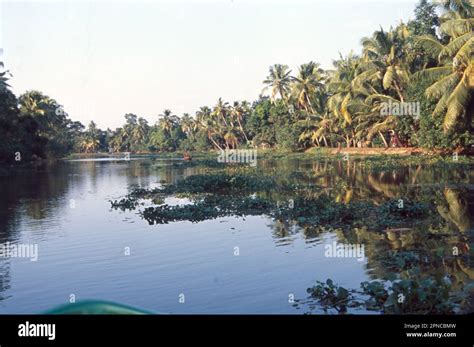 scenic backwaters  kerala comprise  serene stretch  lakes
