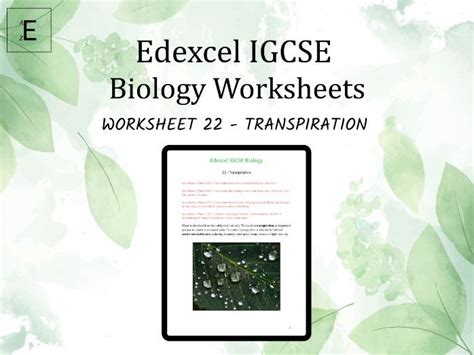 Edexcel Igcse Biology Worksheet 22 Transpiration Teaching Resources