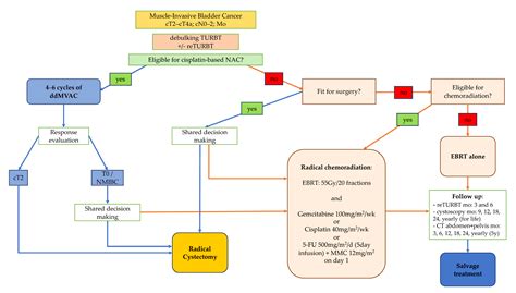 Jcm Free Full Text Combined Modality Bladder Sparing Therapy For