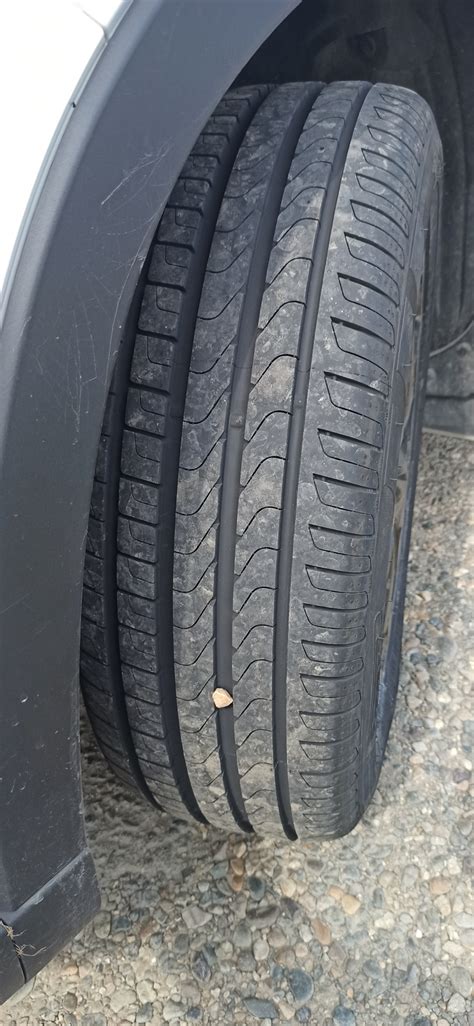 Новые шины на Мазда сх5. Pirelli Scorpion Verde 225/55R19 V 99 — Mazda ...