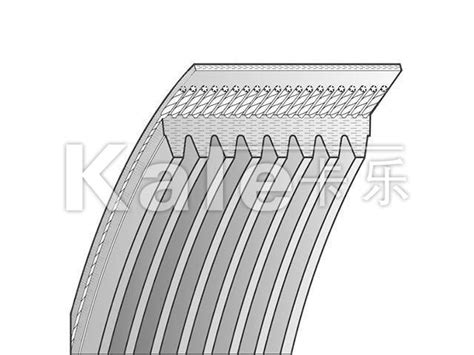 ribbed belt