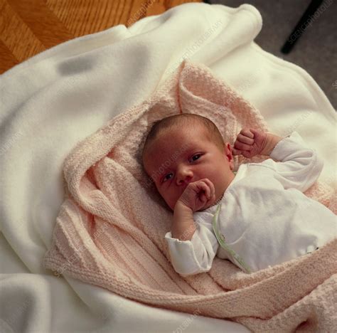 Newborn Baby Lying Wrapped In Blankets Stock Image M815 0226