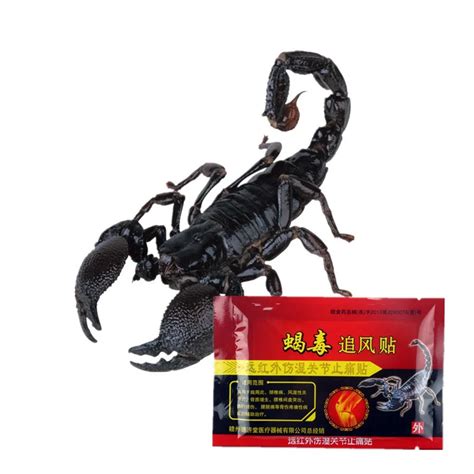 DISAAR Chinese Herbal Pain Relief Emperor Scorpion Venom Essential oil ...