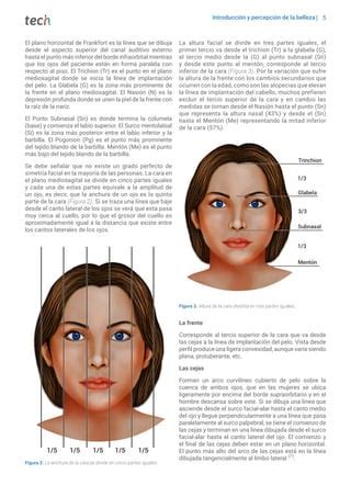 Precepcion De La Belleza Pdf