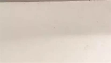 Vídeos gay de Casero xHamster