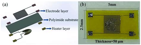 schematic   structure   flexible sensor