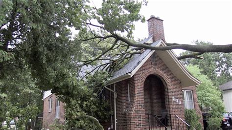 Storm damage in London region | CTV News