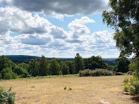 What makes the atmosphere special at grantley arms wonersh surrey 21