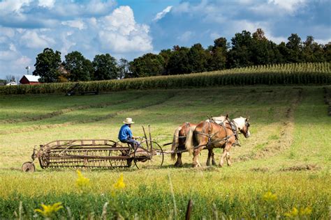 📅 The Best Time To Visit Amish Country Pa In 2023