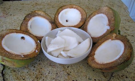 Nutritious You Blog: Coconut Meat in Florida