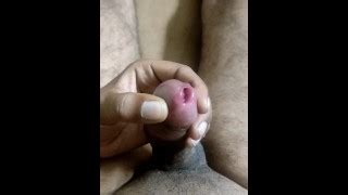 Alexanenex S Porn Videos Pornhub