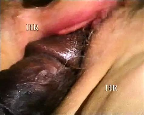 Vhs From Italian Porn Magazine Mailed Xhamster