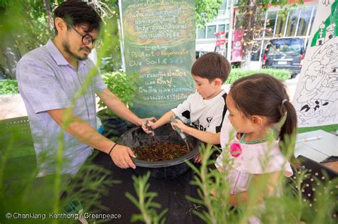 Ideas Para Disfrutar De La Naturaleza Con Ni Os Y Ni As Greenpeace