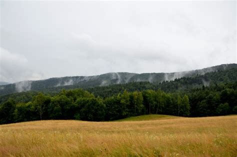 poze camp vreme curcubee zona rurala dupa ploaie fenomen