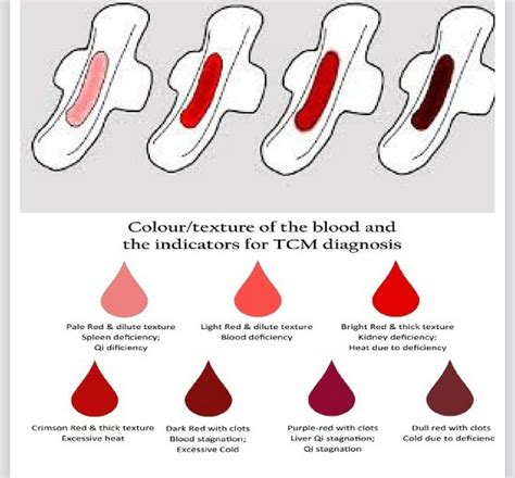 Light Purple Blood Period Ulma