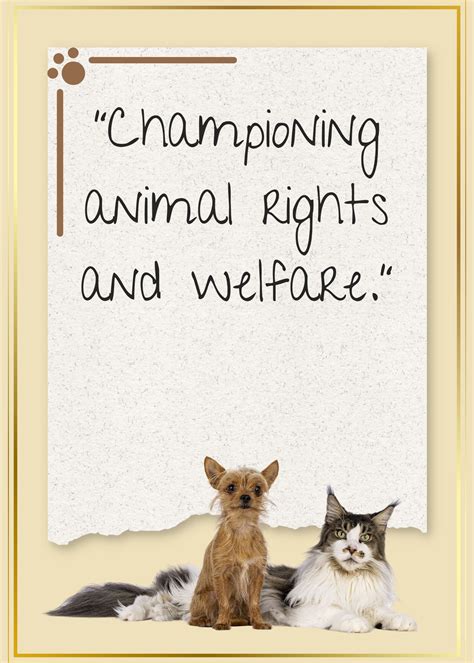 Veterinary Practice Social Media Posts - Social Media Bundle - Social