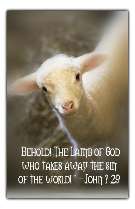 Lamb Of God Bible Quotes Shortquotes Cc