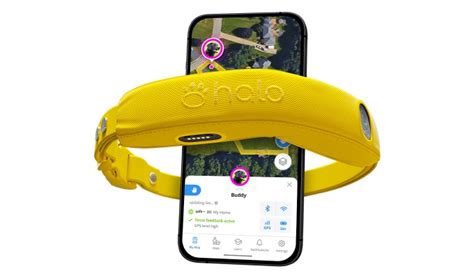 Shop the New Halo Collar 4 Now - PureWow