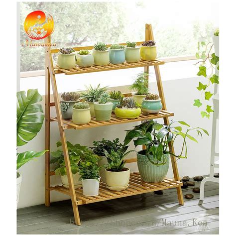 de chau cay gia  trong cay shopee viet nam
