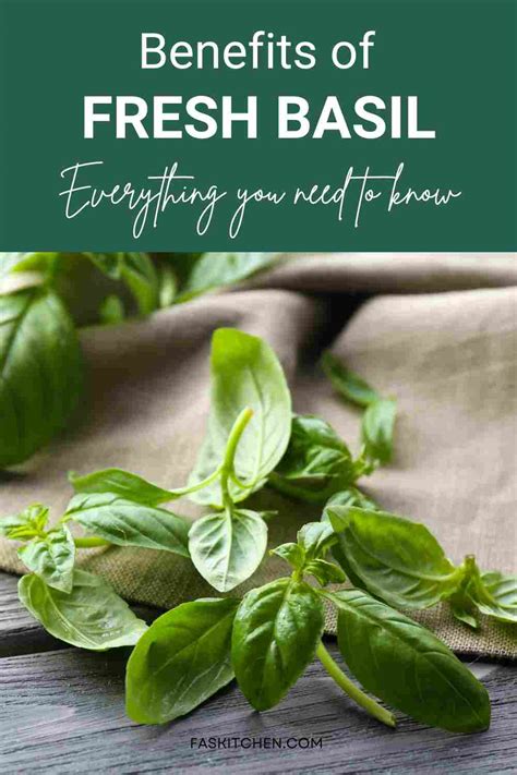 Fresh Basil 101 Nutrition Benefits How To Use Buy Store Fresh