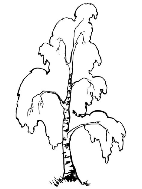 Medžiai Spalvinimui🌳 Pepelt