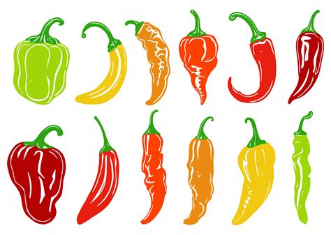 Set Strength Level Spicy Chili Pepper Icon Hot Rating Design Illustration Vector Art