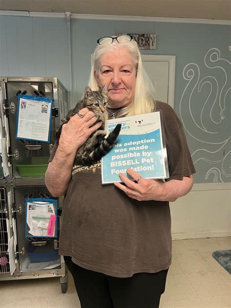 clay county animal services 5