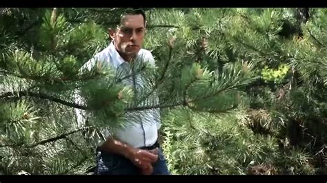 Anya Olsen Porn Videos Porn Star Sex Scenes Xhamster