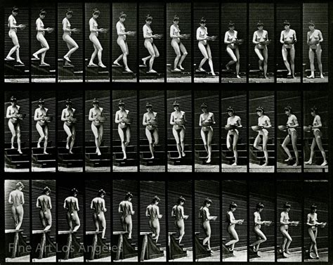 Eadweard Muybridge Photo Motion Study Woman Walking Down Steps S