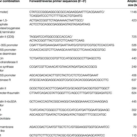 Primer Sequences And Amplicon Sizes Download Scientific Diagram