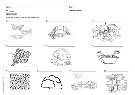 Vocabulary and Grammar: English ESL worksheets pdf & doc