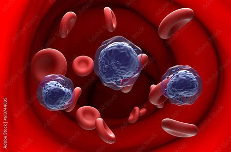 acute myeloid leukemia aml cells  blood flow section view