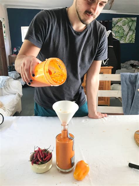 Homemade Chili Hot Sauce Recipe The Organic Gypsy