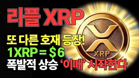 리플🔥긴급 호재🔥폭발적인 상승이때시작합니다🔥xrp6🔥필수시청🔥리플 리플전망 밈코인 밈코인추천 Youtube