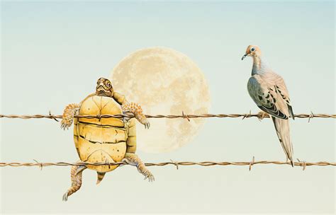 It’s a Turtle … it’s a Dove … it’s a TurtleDove - Cascade Arts & Entertainment