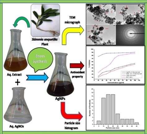 Bioactivity And Catalytic Reduction Of Aryl Nitrocompounds By