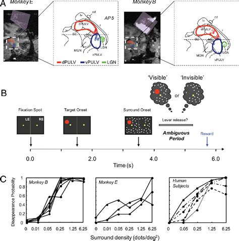 Figure 1 From Neural Activity In The Visual Thalamus Reflects