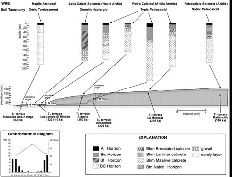 Soil Profiles Showing General Stratigraphy Classification And Relative