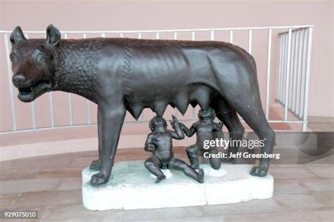 96 John And Mable Ringling Museum Of Art Stock Photos High Res