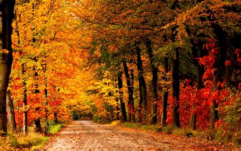 Autumn Scenes Wallpaper 63 Pictures Wallpaperset