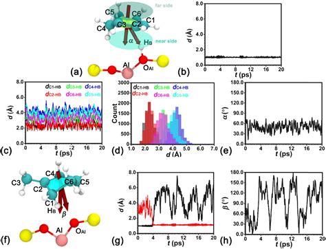 Mechanistic Insights Into Positional And Skeletal Isomerization Of