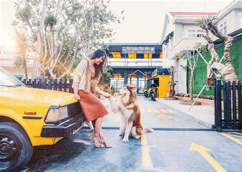 L U Ngay Nh Ng A I M Check In L T Hot Nh T Cung Ng O Mimosa C M Nang Du L Ch