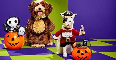 Petcos Bootique Pet Halloween Costumes Shop Is Now Open Purewow