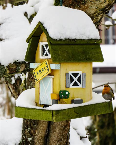 the bird house nyc 6
