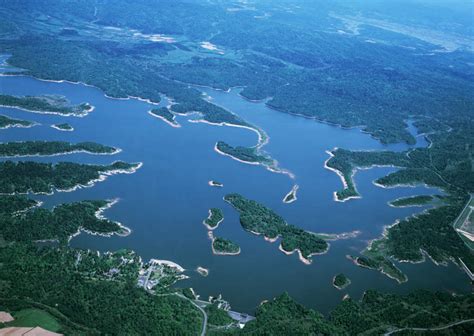 无人横图俯视航拍室外白天旅游度假岛屿湖湖泊美景森林树林水植物北海道日本亚洲岛湖面景观水流水面