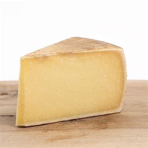 The Career and Contributions of Bettina Cirone 29