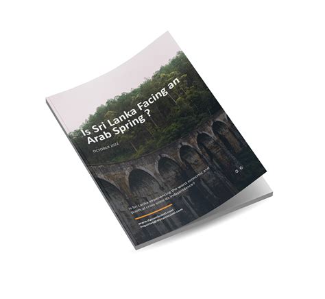 Is Sri Lanka Facing an Arab Spring ? - Dynamics International Group