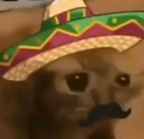 A Cat Wearing A Sombrero With A Moustache On Its Face