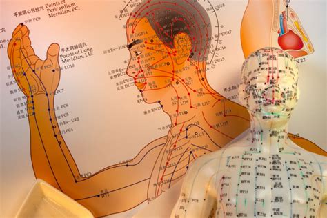 What Are Meridians And Are They Real: How Modern Science Validates The ...