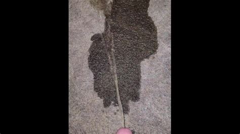 Pissing On The Carpet K Pornhub Gay